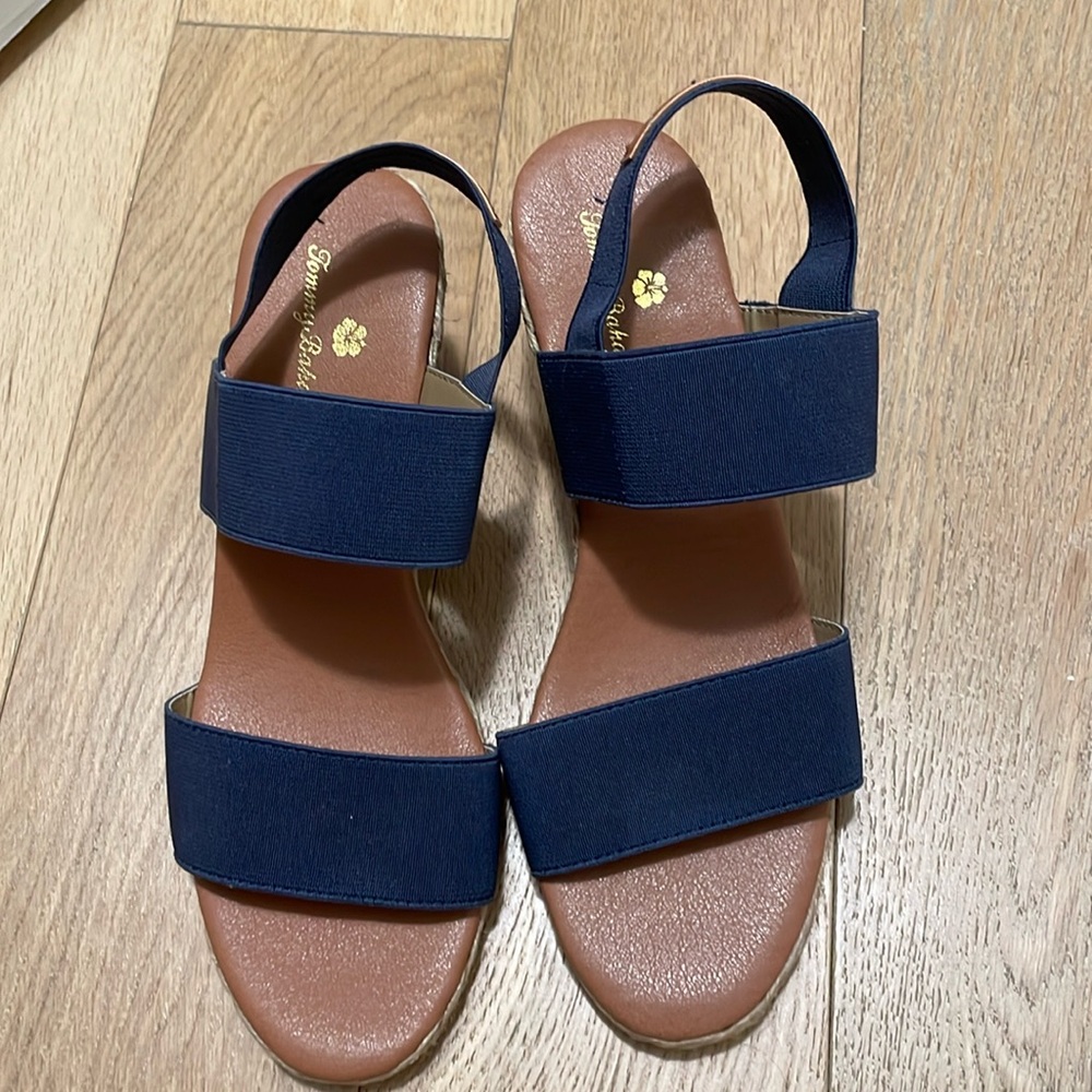 Tommy Bahamas woman’s wedged espadrilles blue color size 8